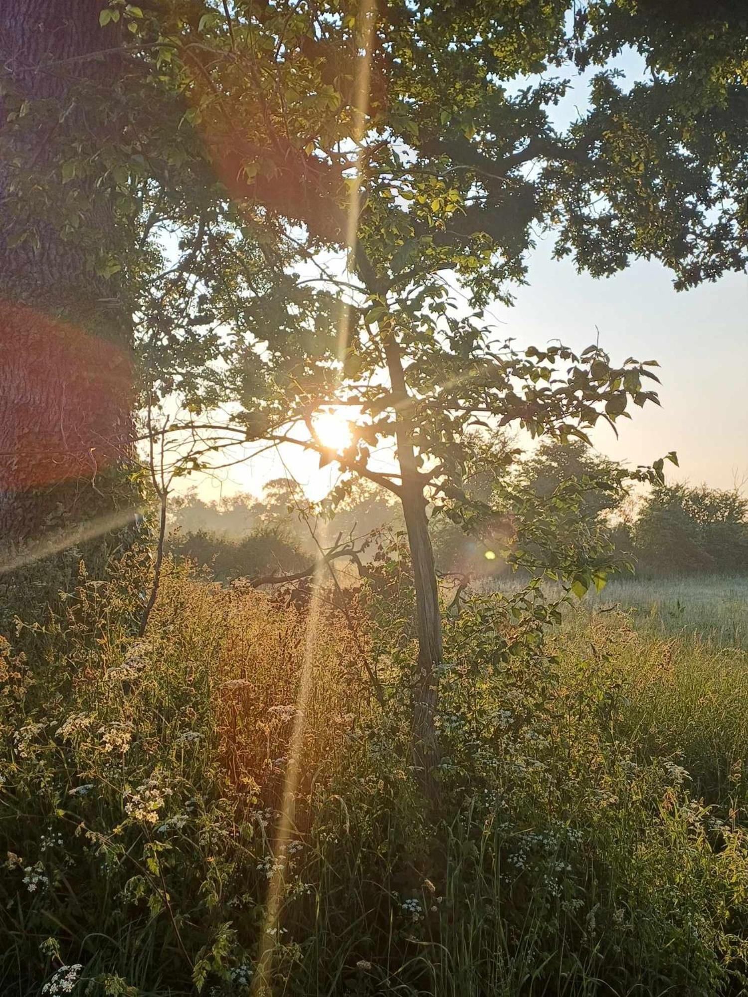 Auxais Memory 44' Bed & Breakfast Eksteriør bilde