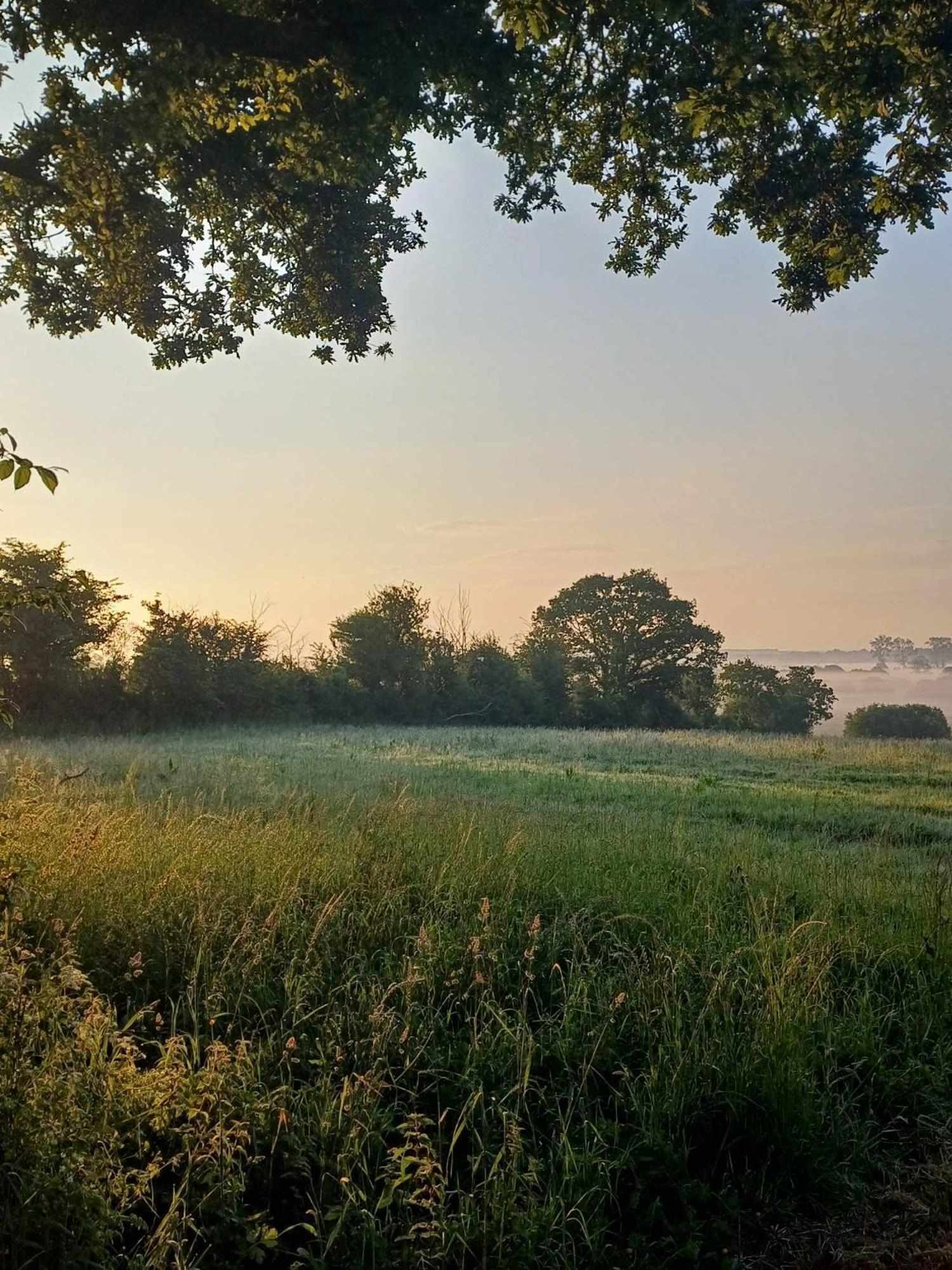 Auxais Memory 44' Bed & Breakfast Eksteriør bilde